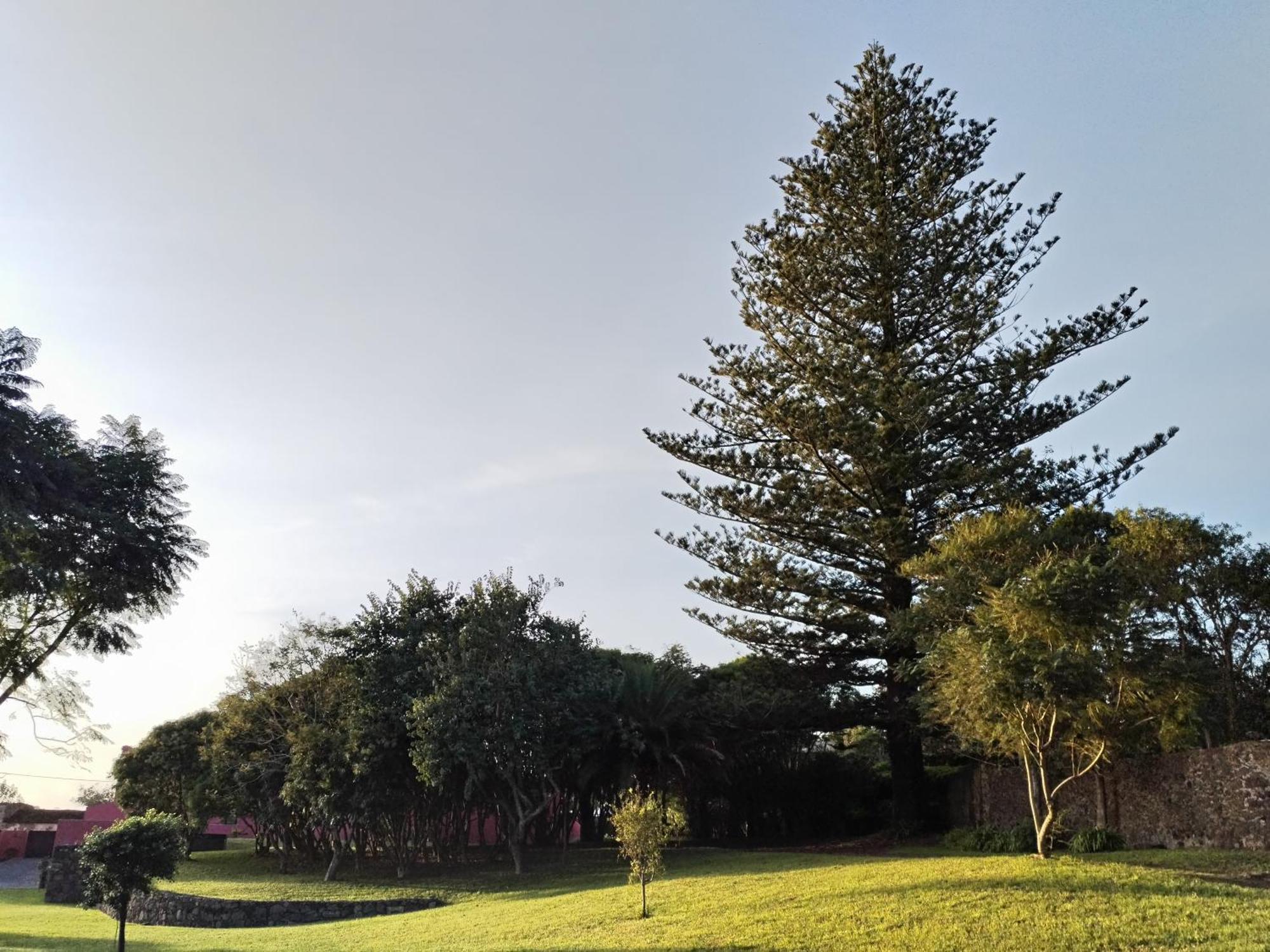 Willa Quinta Da Casa Grande Ponta Delgada Zewnętrze zdjęcie